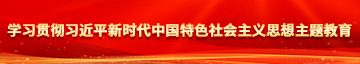 操日嫩逼逼网站学习贯彻习近平新时代中国特色社会主义思想主题教育